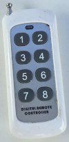 white remote
